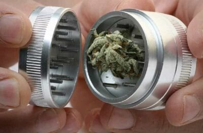 Milano, bomba al tribunale? Falso allarme, era un macinino per la marijuana!