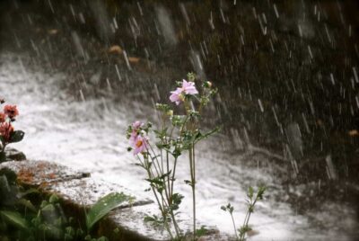 Previsioni meteo agosto 2018: pioggie e temporali in tutta Italia