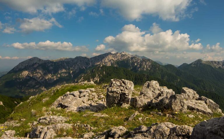 Linea Verde estate, le anticipazioni di oggi domenica 2 settembre 2018: la tappa in Abruzzo!