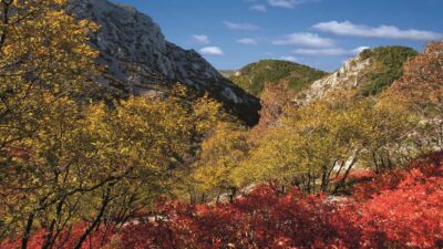 Linea Verde estate, le anticipazioni di oggi domenica 9 settembre 2018: la tappa in Friuli Venezia Giulia