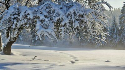 Meteo weekend: in arrivo aria fredda invernale dalla Russia!