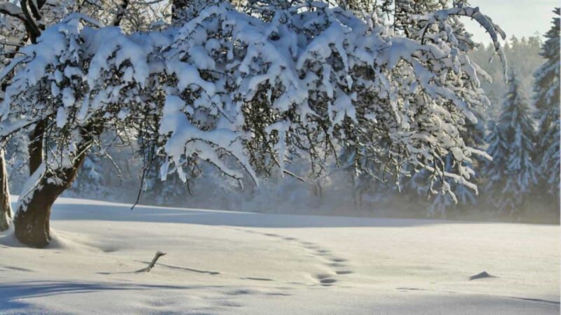 Meteo weekend: in arrivo aria fredda invernale dalla Russia!