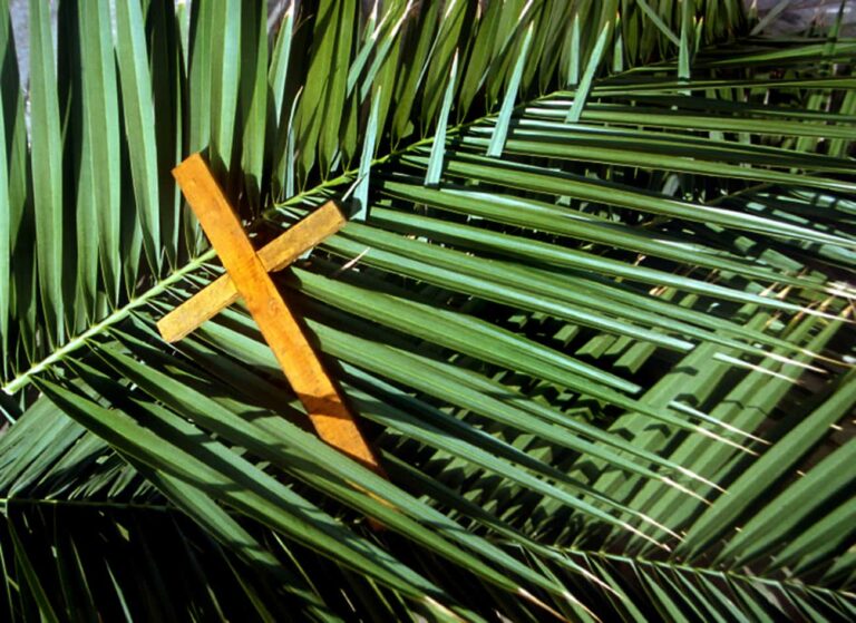 Domenica delle Palme: il significato religioso e perchè si usano le palme e gli ulivi