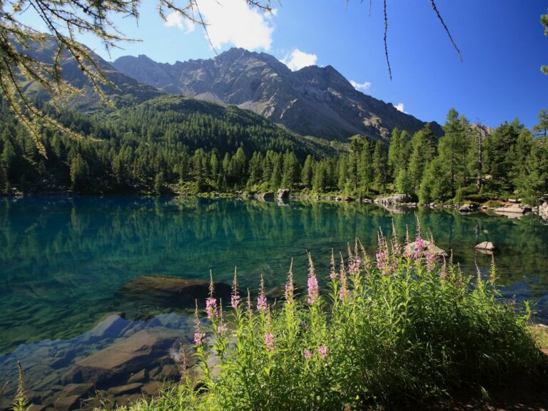 Linea Verde anticipazioni domenica 10 novembre 2019. Tappa in Svizzera a Valposchiavo