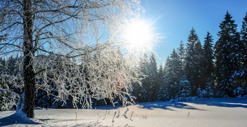 Meteo, fine settimana primaverile e poi un'ondata di gelo! Ecco quando