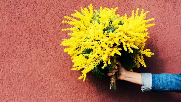 Festa della Donna 2023 a Torino: gli eventi più importanti!