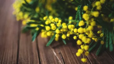 8 marzo in Campania, i musei e i luoghi gratuiti per le donne!