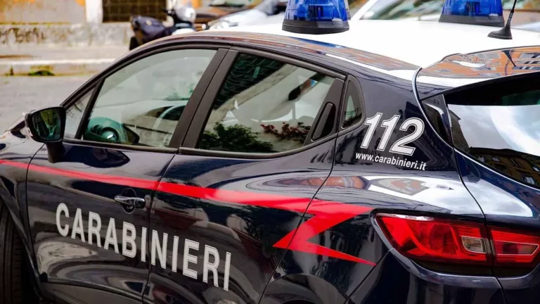 L'Arma dei Carabinieri è una delle forze di polizia italiane, con competenza generale e in servizio permanente di pubblica sicurezza.