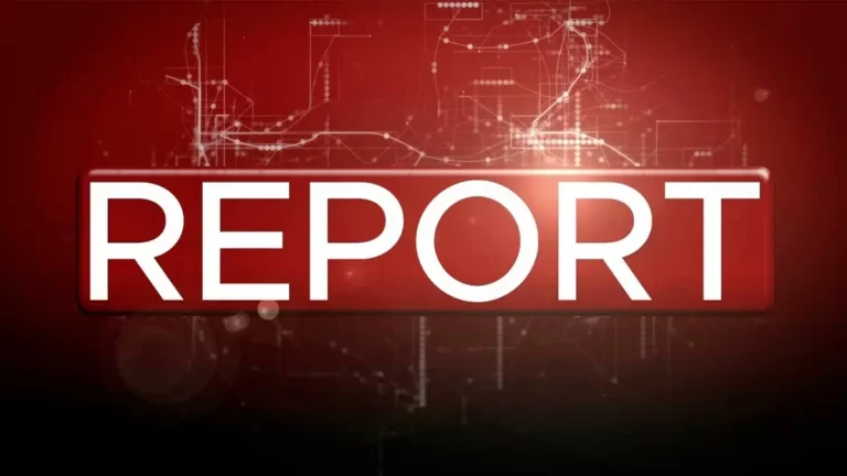 Report - Rai 3 - Logo